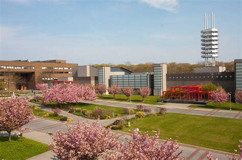 Stony Brook University Colleges Of Distinction