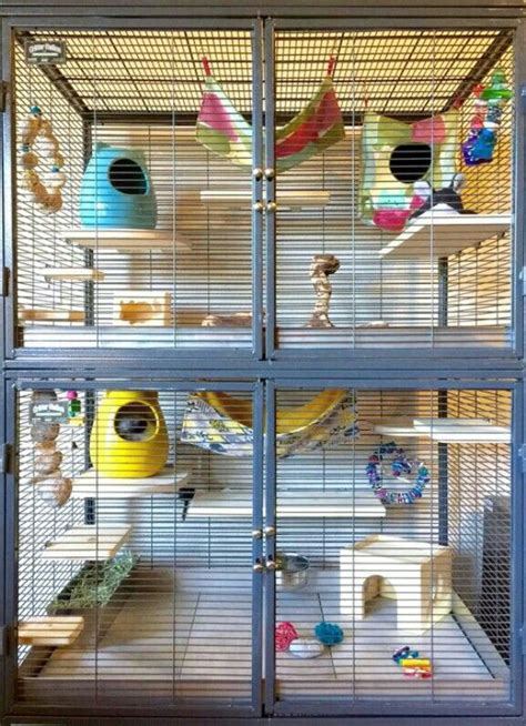 Make your chinchilla's cage bigger.: Brilliant idea for a chinchilla cage. | Chinchilla cage, Chinchilla pet, Chinchilla toys