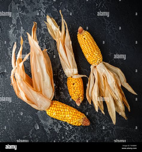 Dried Corn On Cobs Stock Photo Alamy