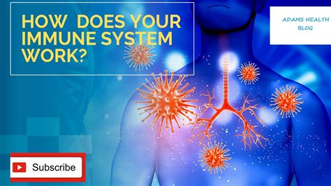 How Does Your Immune System Work Immunesystem Therisingyouth