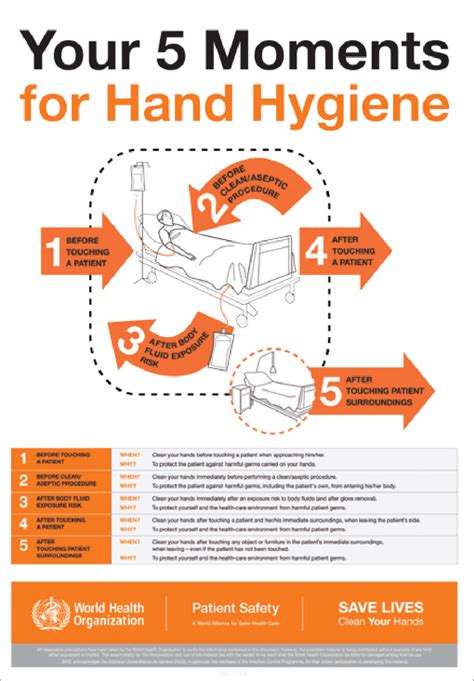 who 5 moments of hand hygiene poster