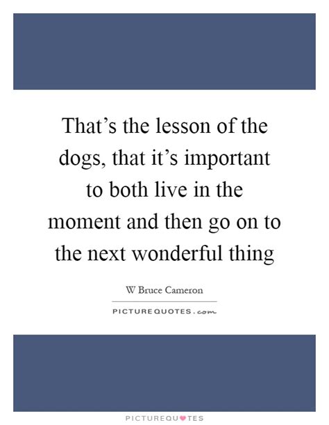 Thats The Lesson Of The Dogs That Its Important To Both Live