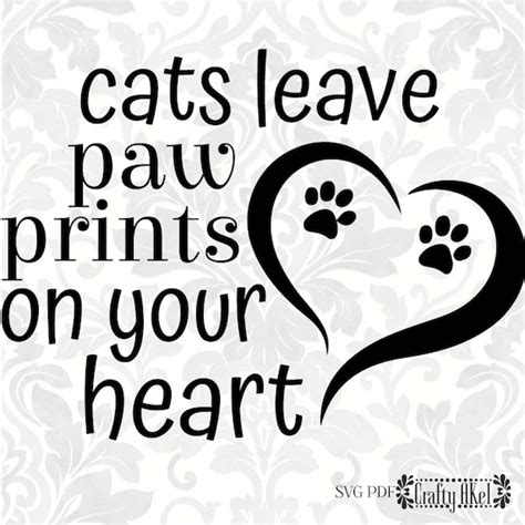 Cat Svg Cats Leave Paw Prints On Your Heart Svg Pdf Etsy Australia
