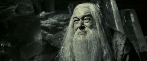 What to gift a harry potter fan. Dumbledore No - Reaction GIFs