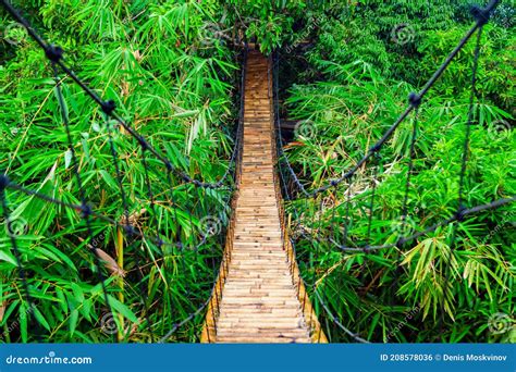 Suspension Pedestrian Bridge Made From Natural Bamboo Stock Photo