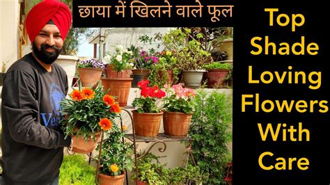 Small flowering trees for tennessee landscapes full sun to light shade. Best Shade loving flowers with names n care, छाया में ...