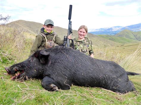 Boar Hunting · New Zealand Safaris