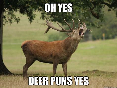 Oh Yes Deer Puns Yes Misc Quickmeme