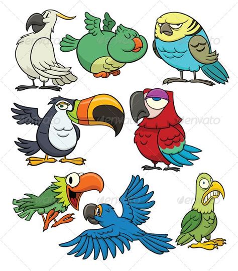 Vectors Tropical Birds Graphicriver Bird Illustration Cartoon