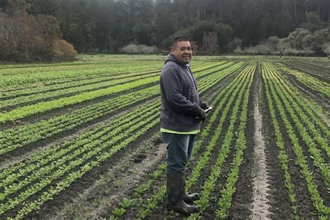Farmworker Awareness Week 2023 Meet The People Who Feed You Foodwise