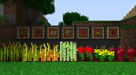 Guide To Farming In Minecraft