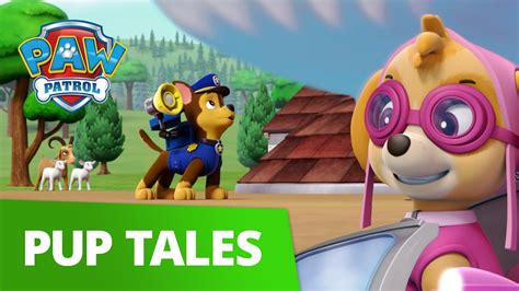 Paw Patrol Pups Save The Popped Top Rescue Episode Paw Patrol