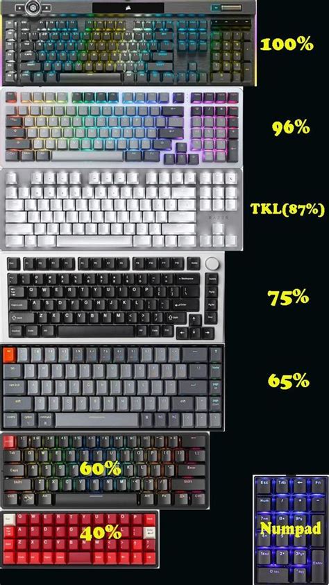 The Different Types Of Keyboards Are Shown In This Graphic Diagram And