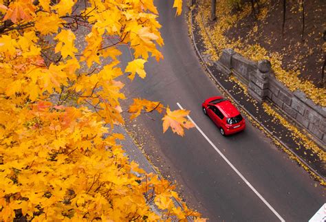 Tips For Planning A Fall Foliage Road Trip Kayak