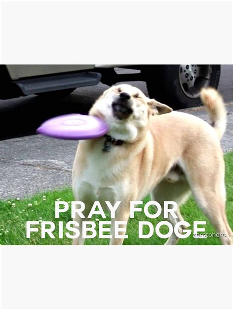 Pray For Frisbee Doge Sticker By Zerotohero Redbubble