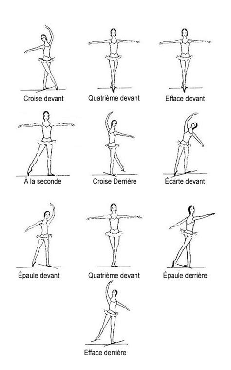 positions of the body ballet moves ballet technique ballet terms