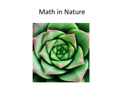 Ppt Math In Nature Powerpoint Presentation Free Download Id1927666