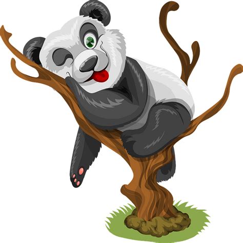 Giant Panda Resting In A Tiny Tree Clipart Free Download Transparent