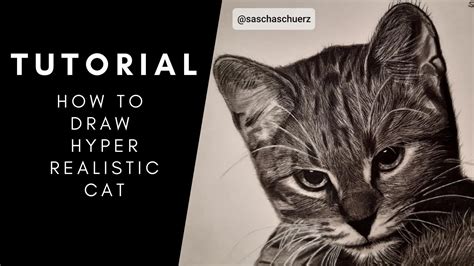 How To Draw A Realistic Cat Step By Step