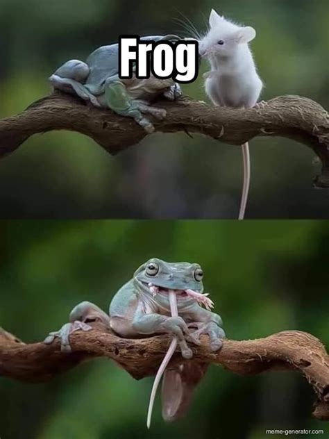 Frog Meme Generator