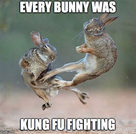 Kungfu Bunnies Memes Imgflip