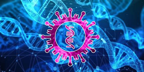 Coronavírus Cientistas Identificam Ponto Fraco Do Novo Vírus Portal Mpa