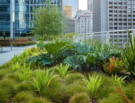 Garden Masters Salesforce Transit Center Park—a Modern Urban Rooftop
