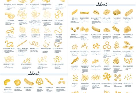 The Ultimate Guide To Pasta Shapes Nogarlicnoonions