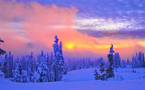 Free Download Wallpapers Beautiful Winter Scenery Desktop