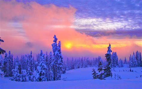 48 Beautiful Winter Scenery Wallpaper On Wallpapersafari