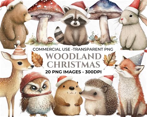 Woodland Christmas Clipart Watercolour Christmas Clipart Elements For Christmas Crafts