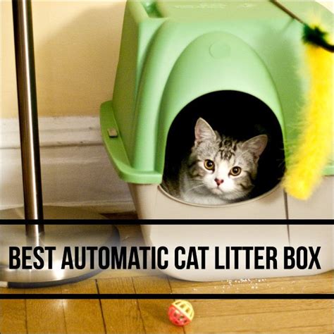 Petkit robot smart auto self cleaning cat enclosed litter box automatic toilet with mobile app control automated basic sift cats. The 10 Best Automatic Cat Litter Box Reviews 2016-2017 ...