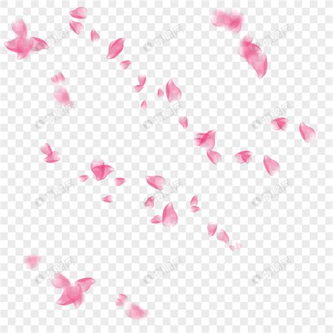 粉色花瓣飘浮元素素材下载 正版素材401142365 摄图网