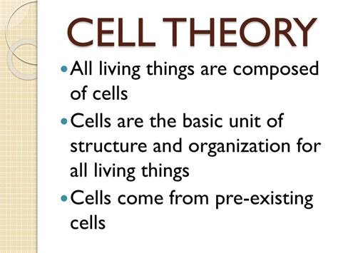 Ppt Cell Theory Powerpoint Presentation Free Download Id5067412