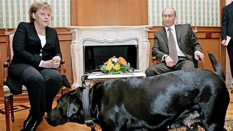 Angela Merkel In Tv Interview Putin Und Die Sache Mit Dem Hund