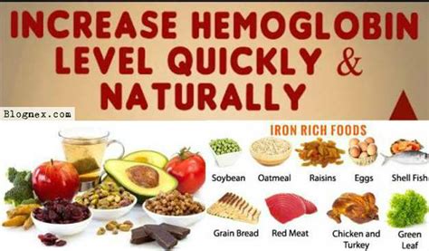 How To Increase Hemoglobin Level Quickly Increase Hemoglobin Level