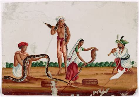 Snake Charmers 3 Men And 1 Woman Snake Charmer Charmer Indian