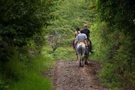 Horseback Riding Is A Great Way To Tour Costa Rica Go Visit Costa Rica