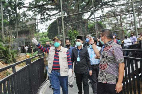 Jadi, segera booking tiket bali zoo maupun paket lainnya seperti dinner with great elephant dan breakfast dengan orangutan melalui kami agar anda dan keluarga berkesempatan mendapatkan pengalaman unik selama mengisi liburan di bali. Sejak Sabtu 30 Mei, Kebun Binatang Bukittinggi Kembali Dibuka