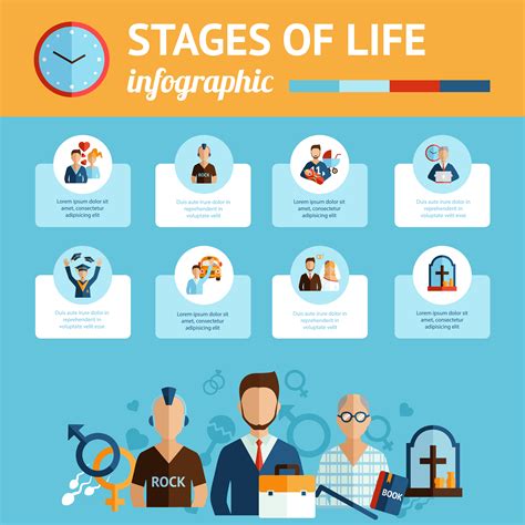 Human Life Cycle Stages Infographic Cartoon Vector Cartoondealer The