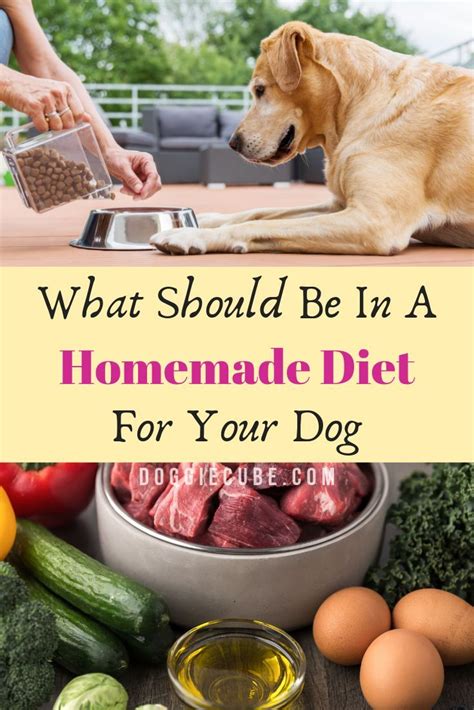 What Is The Best Food To Feed A Diabetic Dog In 2023 Martlabpro