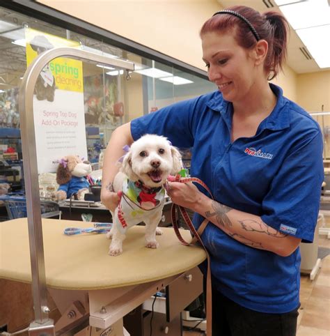 Talking to professional groomers at shows is a great way to learn. Dogs Luv Us and We Luv Them: Unleash A Fresh Spring Look ...