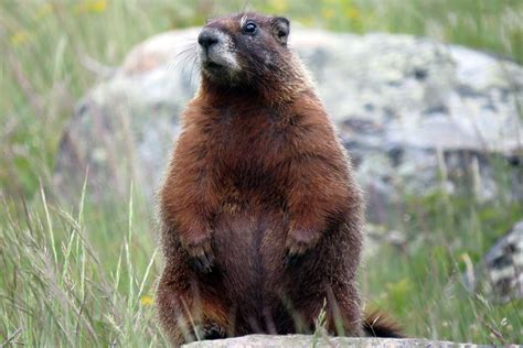 Faces And Places June 2014 Flathead Beacon