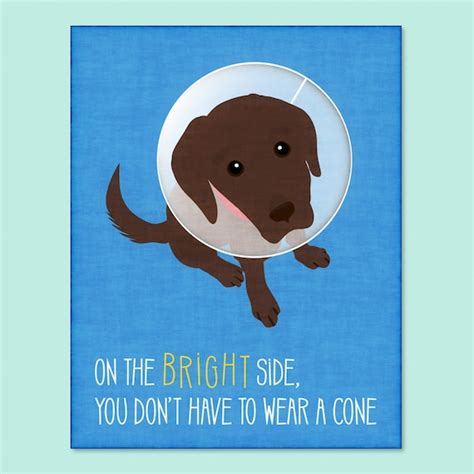 Funny Dog Greeting Card Get Well Soon Card Funny Get Well Etsy