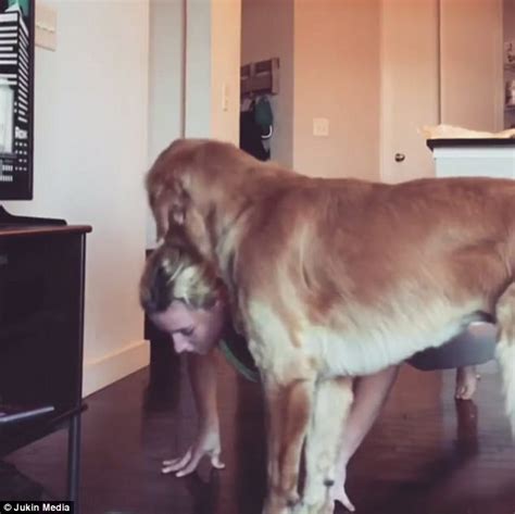 Dog Bothers Nc Woman As She Does Push Ups In Living Room Daily Mail