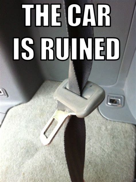 seatbelts laugh humor laugh out loud