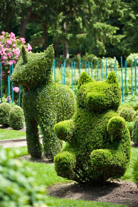 53 Stunning Topiary Trees Gardens Plants And Other Shapes