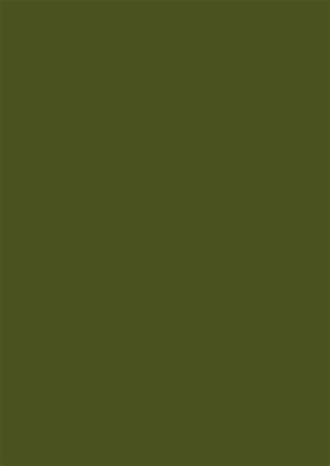 2480x3508 Army Green Solid Color Background