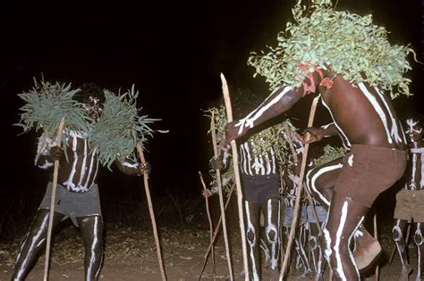 Brolga Dance Aboriginal Ceremonies Northern Australia Ozoutback