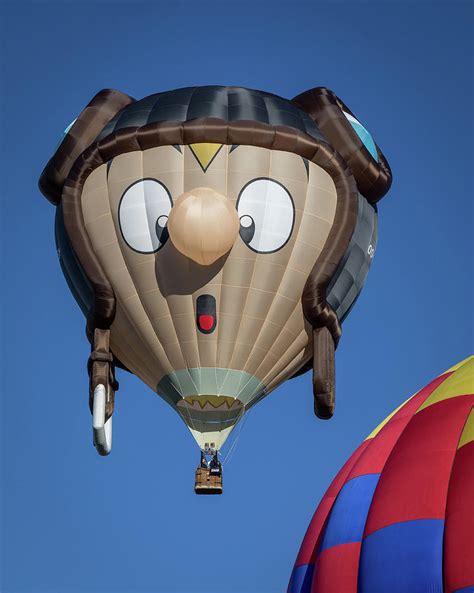 Funny Air Balloon Photograph By Joe Myeress Fine Art America